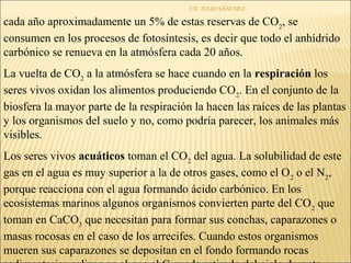 CIC JULIO SÁNCHEZ

cada año aproximadamente un 5% de estas reservas de CO2, se
consumen en los procesos de fotosíntesis, es decir que todo el anhídrido
carbónico se renueva en la atmósfera cada 20 años.
La vuelta de CO2 a la atmósfera se hace cuando en la respiración los
seres vivos oxidan los alimentos produciendo CO2. En el conjunto de la
biosfera la mayor parte de la respiración la hacen las raíces de las plantas
y los organismos del suelo y no, como podría parecer, los animales más
visibles.
Los seres vivos acuáticos toman el CO2 del agua. La solubilidad de este
gas en el agua es muy superior a la de otros gases, como el O2 o el N2,
porque reacciona con el agua formando ácido carbónico. En los
ecosistemas marinos algunos organismos convierten parte del CO2 que
toman en CaCO3 que necesitan para formar sus conchas, caparazones o
masas rocosas en el caso de los arrecifes. Cuando estos organismos
mueren sus caparazones se depositan en el fondo formando rocas
 