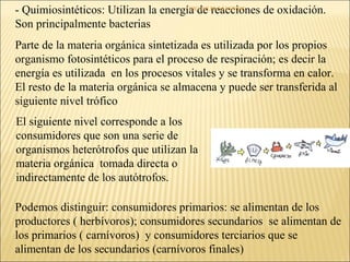 - Quimiosintéticos: Utilizan la energía de reacciones de oxidación.
                                      CIC JULIO SÁNCHEZ

Son principalmente bacterias
Parte de la materia orgánica sintetizada es utilizada por los propios
organismo fotosintéticos para el proceso de respiración; es decir la
energía es utilizada en los procesos vitales y se transforma en calor.
El resto de la materia orgánica se almacena y puede ser transferida al
siguiente nivel trófico
El siguiente nivel corresponde a los
consumidores que son una serie de
organismos heterótrofos que utilizan la
materia orgánica tomada directa o
indirectamente de los autótrofos.

Podemos distinguir: consumidores primarios: se alimentan de los
productores ( herbívoros); consumidores secundarios se alimentan de
los primarios ( carnívoros) y consumidores terciarios que se
alimentan de los secundarios (carnívoros finales)
 