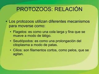 PROTOZOOS: RELACIÓN
●   Los protozoos utilizan diferentes mecanismos
    para moverse como:
    ●   Flagelos: es como una cola larga y fina que se
        mueve a modo de látigo.
    ●   Seudópodos: es como una prolongación del
        citoplasma a modo de patas.
    ●   Cilios: son filamentos cortos, como pelos, que se
        agitan.
 