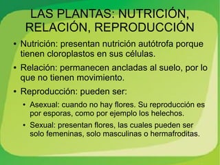 LAS PLANTAS: NUTRICIÓN,
     RELACIÓN, REPRODUCCIÓN
●   Nutrición: presentan nutrición autótrofa porque
    tienen cloroplastos en sus células.
●   Relación: permanecen ancladas al suelo, por lo
    que no tienen movimiento.
●   Reproducción: pueden ser:
    ●   Asexual: cuando no hay flores. Su reproducción es
        por esporas, como por ejemplo los helechos.
    ●   Sexual: presentan flores, las cuales pueden ser
        solo femeninas, solo masculinas o hermafroditas.
 