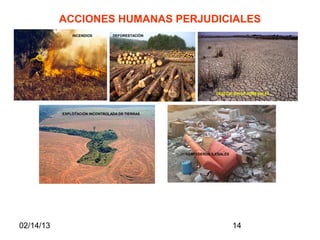 ACCIONES HUMANAS PERJUDICIALES
               INCENDIOS         DEFORESTACIÓN




                                                              DESECACIÓN DE HUMEDALES




           EXPLOTACIÓN INCONTROLADA DE TIERRAS




                                                 VERTEDEROS ILEGALES




02/14/13                                                               14
 
