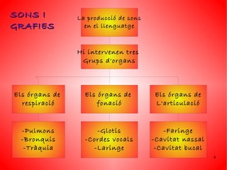 SONS I          La producció de sons
GRAFIES           en el llenguatge



                Hi intervenen tres
                 Grups d'organs



Els órgans de     Els órgans de        Els órgans de
  respiració          fonació          L'articulació



  -Pulmons           -Glotis              -Faringe
  -Bronquis       -Cordes vocals       -Cavitat nassal
   -Tràquia         -Laringe            -Cavitat bucal
                                                         4
 