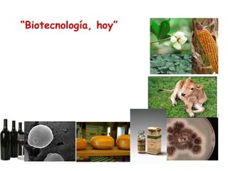 “Biotecnología, hoy”

 