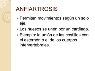 ANFIARTROSIS
Permiten movimientos según un solo
eje.
 Los huesos se unen por un cartílago.
 Ejemplo: la unión de las costillas con
el esternón o el de los cuerpos
intervertebrales.


 