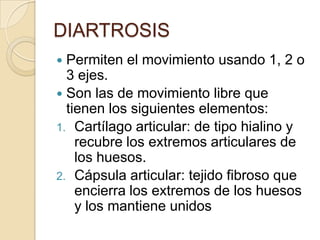DIARTROSIS
Permiten el movimiento usando 1, 2 o
3 ejes.
 Son las de movimiento libre que
tienen los siguientes elementos:
1. Cartílago articular: de tipo hialino y
recubre los extremos articulares de
los huesos.
2. Cápsula articular: tejido fibroso que
encierra los extremos de los huesos
y los mantiene unidos


 