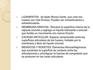 3.

4.

5.

6.

LIGAMENTOS: de tejido fibroso fuerte, que unen los
huesos con más firmeza. Pueden ser intraarticulares o
extraarticulares.
MEMBRANA SINOVIAL: Recubre la superficie interna de la
cápsula sinovial y segrega un líquido lubricante o sinovial
que facilita un movimiento con menos fricción.
CAVIDAD ARTICULAR: Espacio comprendido entre las
superficies articulares de los huesos, limitado por la
membrana y lleno de líquido sinovial.
MENISCOS Y RODETES: Elementos fibrocartilaginosos
que aumentan la superficie de contacto entre las
articulaciones y amortiguan la fuerzas de compresión que
se producen en las caras articulares.

 
