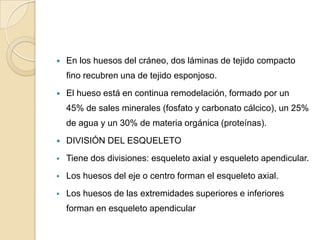

En los huesos del cráneo, dos láminas de tejido compacto
fino recubren una de tejido esponjoso.



El hueso está en continua remodelación, formado por un
45% de sales minerales (fosfato y carbonato cálcico), un 25%
de agua y un 30% de materia orgánica (proteínas).



DIVISIÓN DEL ESQUELETO



Tiene dos divisiones: esqueleto axial y esqueleto apendicular.



Los huesos del eje o centro forman el esqueleto axial.



Los huesos de las extremidades superiores e inferiores
forman en esqueleto apendicular

 