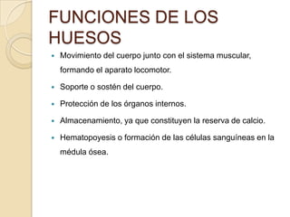 FUNCIONES DE LOS
HUESOS


Movimiento del cuerpo junto con el sistema muscular,
formando el aparato locomotor.



Soporte o sostén del cuerpo.



Protección de los órganos internos.



Almacenamiento, ya que constituyen la reserva de calcio.



Hematopoyesis o formación de las células sanguíneas en la
médula ósea.

 
