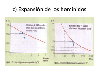 c) Expansión de los homínidos
 