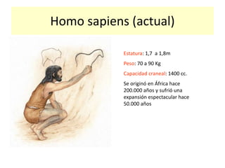 Homo sapiens (actual)
Estatura: 1,7 a 1,8m
Peso: 70 a 90 Kg
Capacidad craneal: 1400 cc.
Se originó en África hace
200.000 años y sufrió una
expansión espectacular hace
50.000 años
 