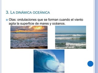 3. LA DINÁMICA OCEÁNICA
 Olas: ondulaciones que se forman cuando el viento
agita la superficie de mares y océanos.
 