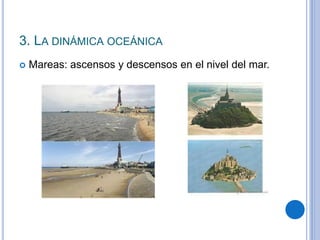 3. LA DINÁMICA OCEÁNICA
 Mareas: ascensos y descensos en el nivel del mar.
 