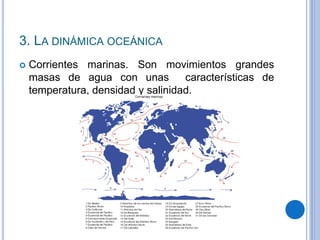 3. LA DINÁMICA OCEÁNICA
 Corrientes marinas. Son movimientos grandes
masas de agua con unas características de
temperatura, densidad y salinidad.
 