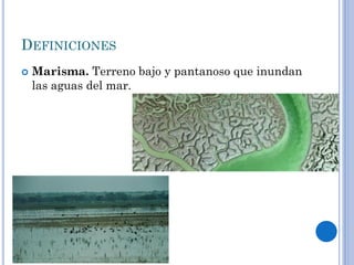 DEFINICIONES
 Marisma. Terreno bajo y pantanoso que inundan
las aguas del mar.
 