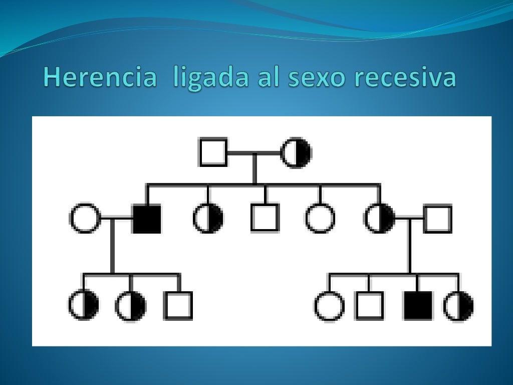 Tema 4. patrones de herencia