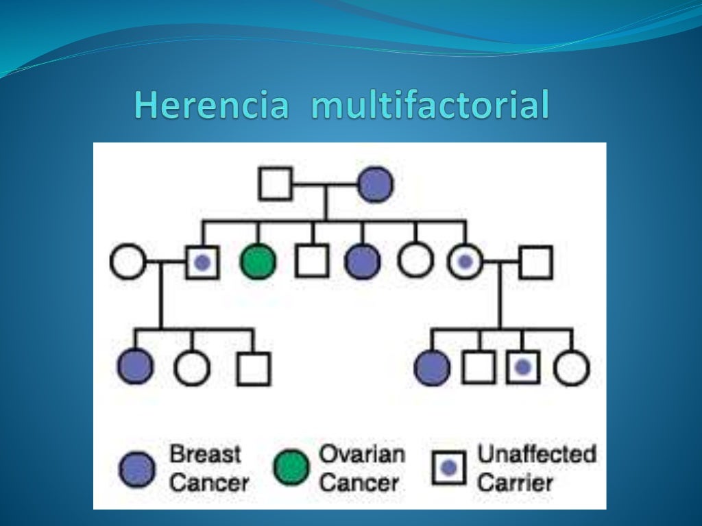 Tema 4. patrones de herencia