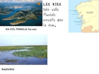 RIA D'EL FERROL(A Coruña)
LES RIES
Són valls
fluvials
envaïts per
la mar.
MARESMES
 