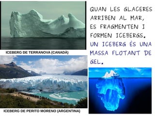 QUAN LES GLACERES
ARRIBEN AL MAR,
ES FRAGMENTEN I
FORMEN ICEBERGS.
UN ICEBERG ÉS UNA
MASSA FLOTANT DE
GEL.
ICEBERG DE TERRANOVA (CANADÀ)
ICEBERG DE PERITO MORENO (ARGENTINA)
 