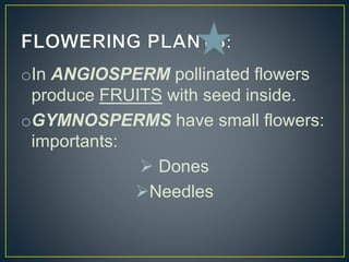 oIn ANGIOSPERM pollinated flowers
produce FRUITS with seed inside.
oGYMNOSPERMS have small flowers:
importants:
 Dones
Needles
 