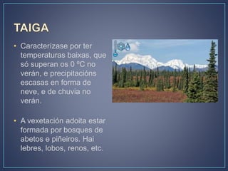 • Caracterízase por ter
temperaturas baixas, que
só superan os 0 ºC no
verán, e precipitacións
escasas en forma de
neve, e de chuvia no
verán.
• A vexetación adoita estar
formada por bosques de
abetos e piñeiros. Hai
lebres, lobos, renos, etc.
 