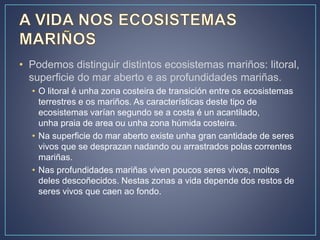 • Podemos distinguir distintos ecosistemas mariños: litoral,
superficie do mar aberto e as profundidades mariñas.
• O litoral é unha zona costeira de transición entre os ecosistemas
terrestres e os mariños. As características deste tipo de
ecosistemas varían segundo se a costa é un acantilado,
unha praia de area ou unha zona húmida costeira.
• Na superficie do mar aberto existe unha gran cantidade de seres
vivos que se desprazan nadando ou arrastrados polas correntes
mariñas.
• Nas profundidades mariñas viven poucos seres vivos, moitos
deles descoñecidos. Nestas zonas a vida depende dos restos de
seres vivos que caen ao fondo.
 