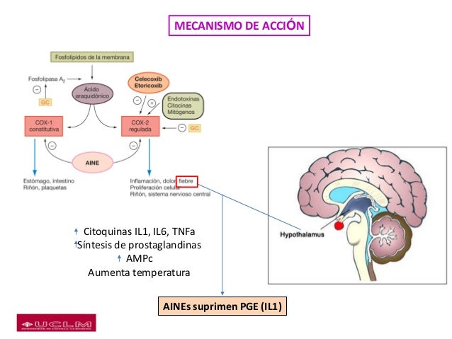 Tema 4.2 antiinflamatorios, analgésicos y antihistamínicos