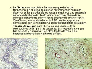 Tema 4. Procesamiento citológico y tisular | PPT