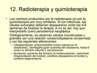 12. Radioterapia y quimioterapia
• Los cambios producidos por la radioterapia y/o por la
quimioterapia son muy similares. Si son efectivas, las
células tumorales deberían desaparecer entre las 4-8
semanas de finalizar la terapia; si no es así, hay que
interpretarlo como persistencia neoplásica.
Citológicamente, se observan células monstruosas y
grandes con una relación núcleo/citoplasma conservada
y con las siguientes alteraciones:
– Citoplasmáticas: policromatofilia (varios colores en el
citoplasma), citomegalia (gran aumento del citoplasma, hasta 6
veces su tamaño natural) y vacuolización.
– Nucleares: aumento del tamaño, bi-multinucleación, cariorrexis
(fragmentación del núcleo), cariólisis (desaparece el núcleo) y
cambios degenerativos.
 