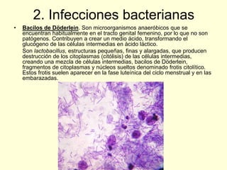 2. Infecciones bacterianas
• Bacilos de Döderlein. Son microorganismos anaeróbicos que se
encuentran habitualmente en el tracto genital femenino, por lo que no son
patógenos. Contribuyen a crear un medio ácido, transformando el
glucógeno de las células intermedias en ácido láctico.
Son lactobacillus, estructuras pequeñas, finas y alargadas, que producen
destrucción de los citoplasmas (citólisis) de las células intermedias,
creando una mezcla de células intermedias, bacilos de Döderlein,
fragmentos de citoplasmas y núcleos sueltos denominado frotis citolítico.
Estos frotis suelen aparecer en la fase luteínica del ciclo menstrual y en las
embarazadas.
 