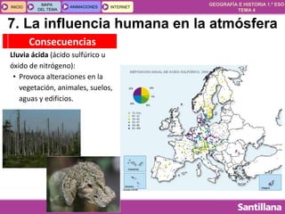 GEOGRAFÍA E HISTORIA 1.º ESO
TEMA 4
INICIOINICIO
MAPA
DEL TEMA
MAPA
DEL TEMA
ANIMACIONESANIMACIONES INTERNETINTERNET
Consecuencias
Lluvia ácida (ácido sulfúrico u
óxido de nitrógeno):
• Provoca alteraciones en la
vegetación, animales, suelos,
aguas y edificios.
7. La influencia humana en la atmósfera
 