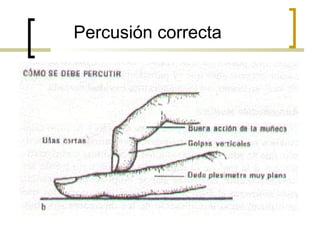 Percusión correcta
 