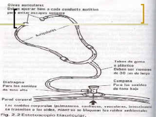 Radiologia - Las tecnicas basicas de exploración
