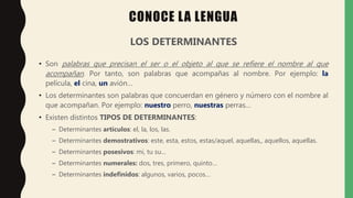 CONOCE LA LENGUA
LOS DETERMINANTES
• Son palabras que precisan el ser o el objeto al que se refiere el nombre al que
acompañan. Por tanto, son palabras que acompañas al nombre. Por ejemplo: la
película, el cina, un avión…
• Los determinantes son palabras que concuerdan en género y número con el nombre al
que acompañan. Por ejemplo: nuestro perro, nuestras perras…
• Existen distintos TIPOS DE DETERMINANTES:
– Determinantes artículos: el, la, los, las.
– Determinantes demostrativos: este, esta, estos, estas/aquel, aquellas,, aquellos, aquellas.
– Determinantes posesivos: mi, tu su…
– Determinantes numerales: dos, tres, primero, quinto…
– Determinantes indefinidos: algunos, varios, pocos…
 
