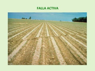 FALLA ACTIVA
 