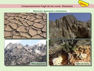 Comportamiento frágil de las rocas. Diaclasas
Retracción, desecación o enfriamiento
Descompresión Cuña de raíces
 