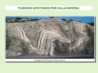 PLIEGUES AFECTADOS POR FALLA INVERSA
 