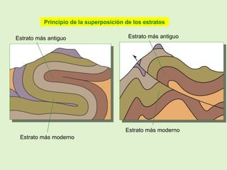 Principio de la superposición de los estratos
Estrato más antiguo
Estrato más moderno
Estrato más antiguo
Estrato más moderno
 