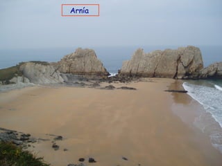 Arnía
 