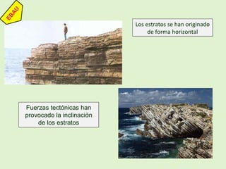 Los estratos se han originado
de forma horizontal
Los estratos se han originado
de forma horizontal
Fuerzas tectónicas han
provocado la inclinación
de los estratos
Fuerzas tectónicas han
provocado la inclinación
de los estratos
 