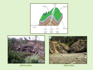 ANTICLINAL SINCLINAL
 