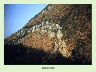 ANTICLINAL
 
