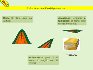 3. Por la inclinación del plano axial:
Recto: el plano axial es
vertical.
Inclinados: el plano axial
forma un ángulo con la
vertical
Acostados, tendidos o
tumbados: el plano axial
es casi horizontal.
EBAU
 