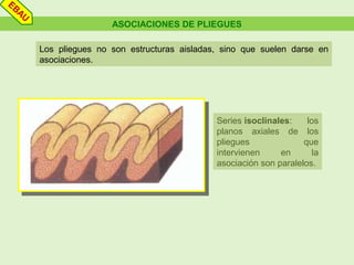 ASOCIACIONES DE PLIEGUES
Los pliegues no son estructuras aisladas, sino que suelen darse en
asociaciones.
Series isoclinales: los
planos axiales de los
pliegues que
intervienen en la
asociación son paralelos.
EBAU
 