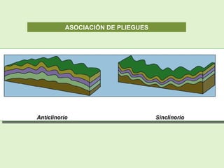 ASOCIACIÓN DE PLIEGUES
 