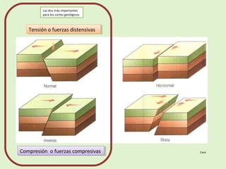 Tensión o fuerzas distensivasTensión o fuerzas distensivas
Compresión o fuerzas compresivasCompresión o fuerzas compresivas Carol
Las dos más importantes
para los cortes geológicos.
 