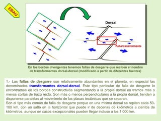 1.- Las fallas de desgarre son relativamente abundantes en el planeta, en especial las
denominadas transformantes dorsal-dorsal. Este tipo particular de falla de desgarre lo
encontramos en los bordes constructivos segmentando a la propia dorsal en tramos más o
menos cortos de trazo recto. Son más o menos perpendiculares a la propia dorsal, tienden a
disponerse paralelas al movimiento de las placas tectónicas que se separan.
Son el tipo más común de falla de desgarre porque en una misma dorsal se repiten cada 50-
100 km, con un salto en la horizontal que puede ir de decenas de kilómetros a cientos de
kilómetros, aunque en casos excepcionales pueden llegar incluso a los 1.000 km.
EBAU
En los bordes divergentes tenemos fallas de desgarre que reciben el nombre
de transformantes dorsal-dorsal (modificado a partir de diferentes fuentes)
 