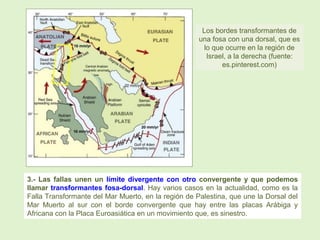 Los bordes transformantes de
una fosa con una dorsal, que es
lo que ocurre en la región de
Israel, a la derecha (fuente:
es.pinterest.com)
3.- Las fallas unen un límite divergente con otro convergente y que podemos
llamar transformantes fosa-dorsal. Hay varios casos en la actualidad, como es la
Falla Transformante del Mar Muerto, en la región de Palestina, que une la Dorsal del
Mar Muerto al sur con el borde convergente que hay entre las placas Arábiga y
Africana con la Placa Euroasiática en un movimiento que, es sinestro.
 
