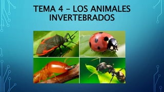 TEMA 4 – LOS ANIMALES
INVERTEBRADOS
 