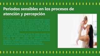 Periodos sensibles en los procesos de
atención y percepción
Hay estudios que demuestran que los recién nacidos poseen
estructuras neuronales para el reconocimiento de rostros.
Hasta el medio año de vida, el bebé es capaz de distinguir
igual los rostros humanos de cualquier raza e incluso de los
monos. Entre los 6 y los 9 meses discriminan aquellos rostros
conocidos de los que no lo son, coincidiendo con la crisis de
los 8 meses del bebé.
Este periodo se caracteriza en que los bebés sienten una
profunda angustia cuando dentro de su campo de visión no
se sitúa la madre, viviendo las separaciones como
abandonos. También está muy vinculado con la permanencia
del objeto, otro hito evolutivo de gran importancia.
Este periodo sensible culmina en torno a los 9 meses.
 
