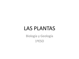 LAS PLANTAS
Biología y Geología
1ºESO
 